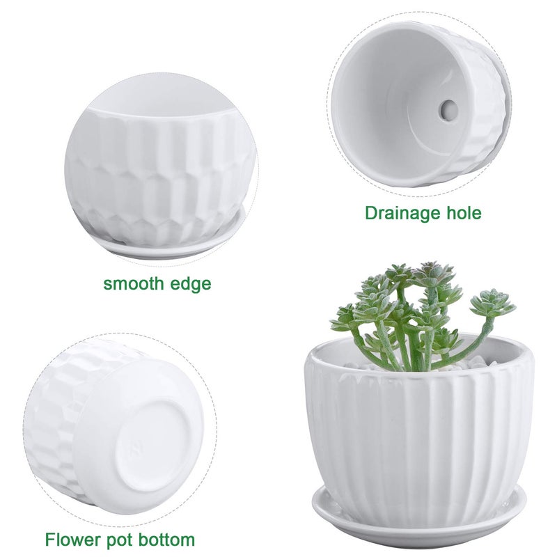 Brajttt Flower Pots, 4 Inch Cylinder Ceramic Plant Pots with Connected Saucer, Mini Ceramic Planters for Succulent and Little Snake Plants (6 Pack, White) - Image 3